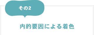 その2：内的要因による着色